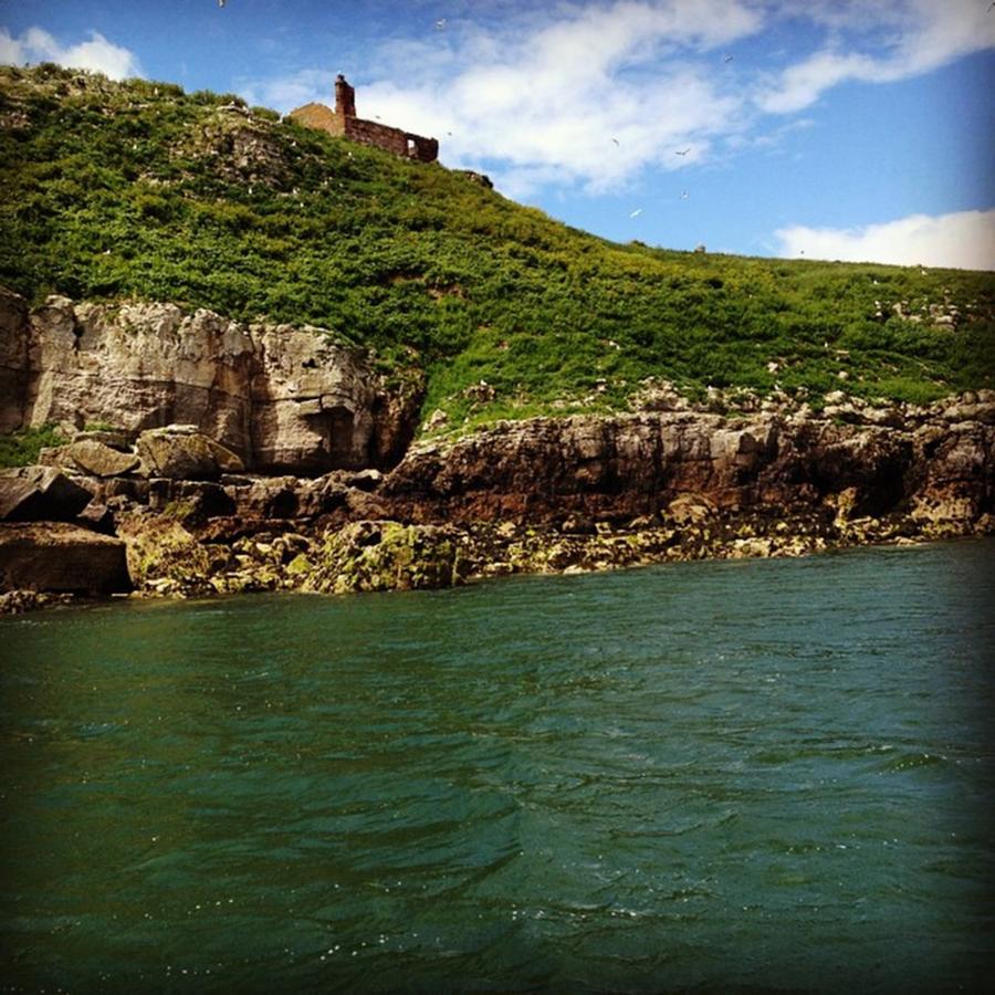 Puffin Island - Anglesey Photograph by Unseen Moments - Fine Art America