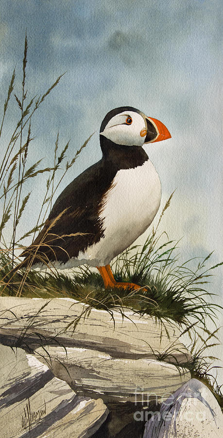 Puffin Painting by James Williamson