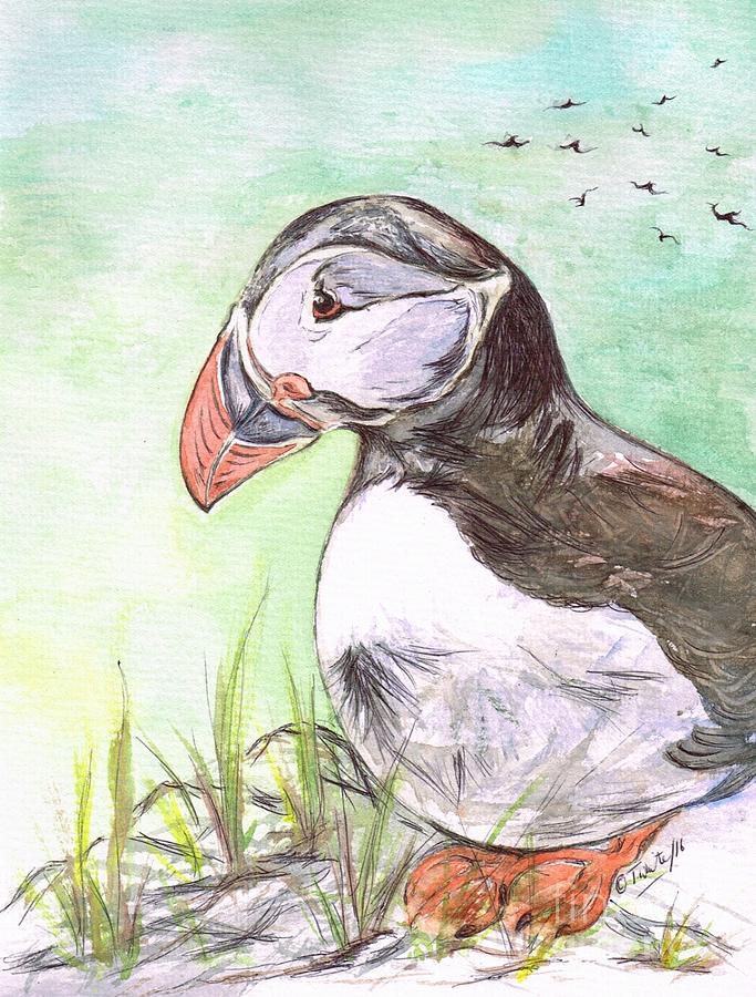 Puffin Bird- On The Cliff Top Painting by Teresa White - Fine Art America