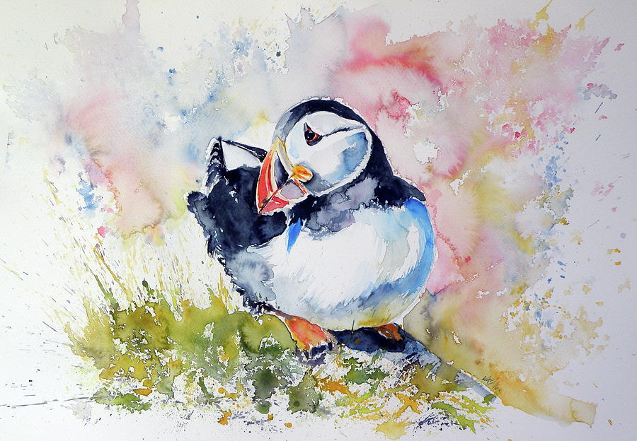 Puffin Painting - Puffin on stone by Kovacs Anna Brigitta