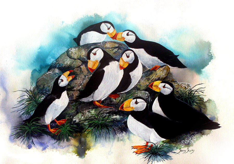 Puffin Party Painting by Sherry Shipley - Fine Art America