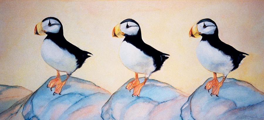 Puffin Rock by Dee Van Houten Puffin Rock by Dee Van Houten