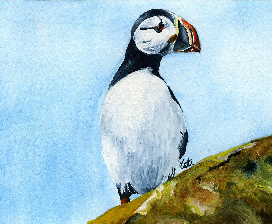 Puffin case study 08 picture