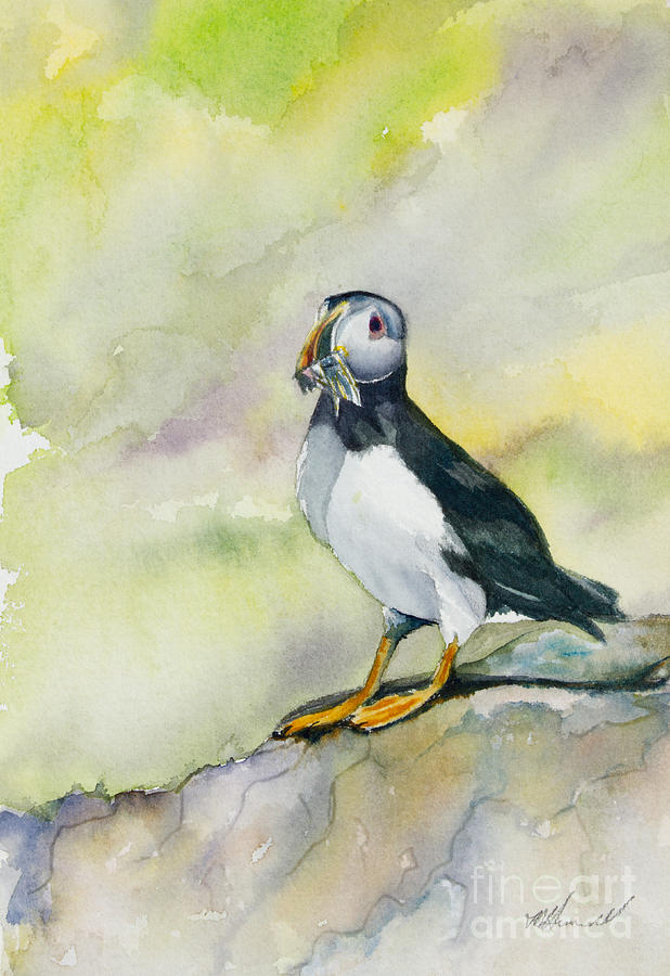 Puffin  Painting by Tracey Hunnewell