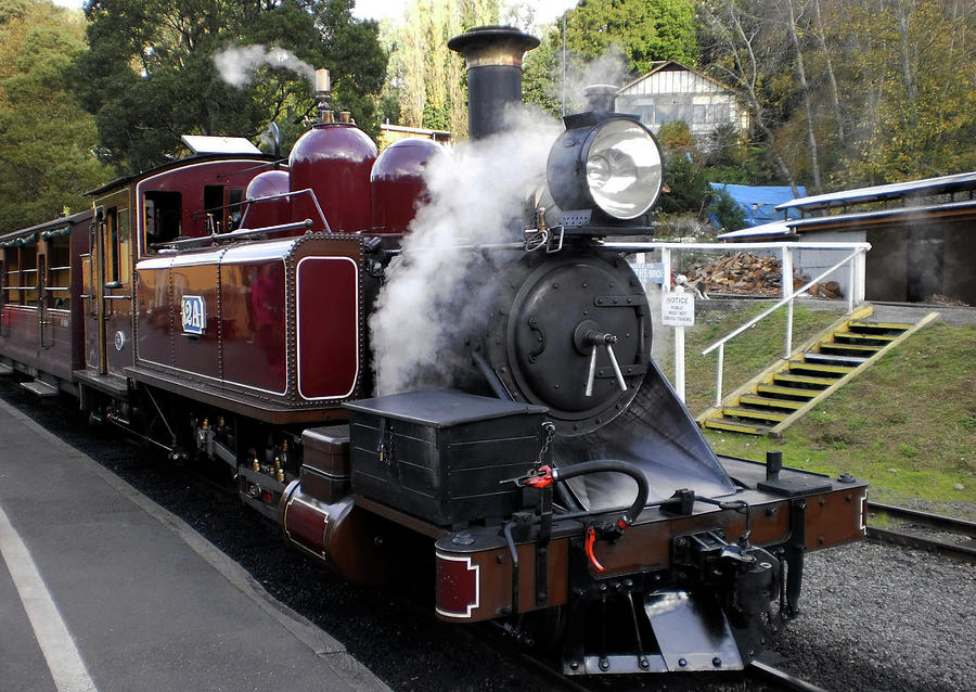 Puffing Billy  Photograph by Tania Read