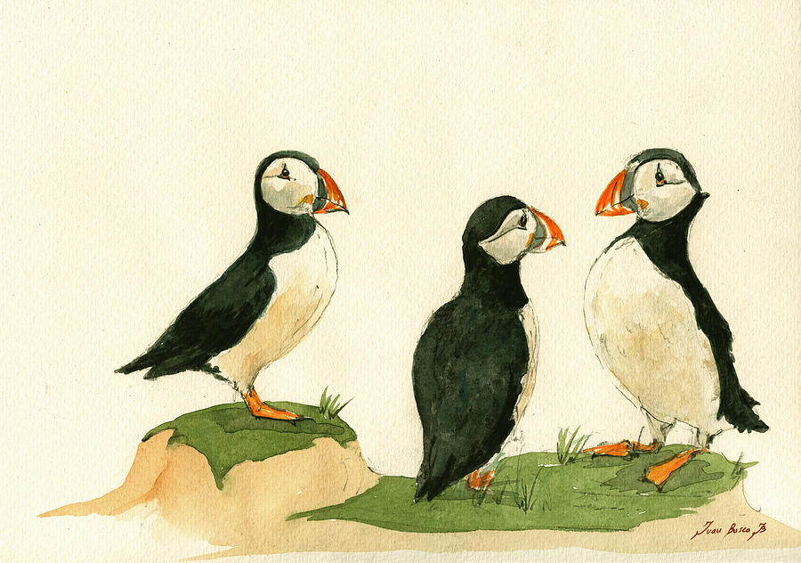 Puffin Bird Painting - Puffins by Juan  Bosco