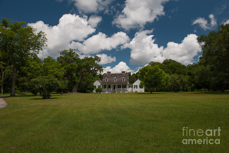 Puffy White Clouds over Pinckney Plantation Photograph by Dale Powell
