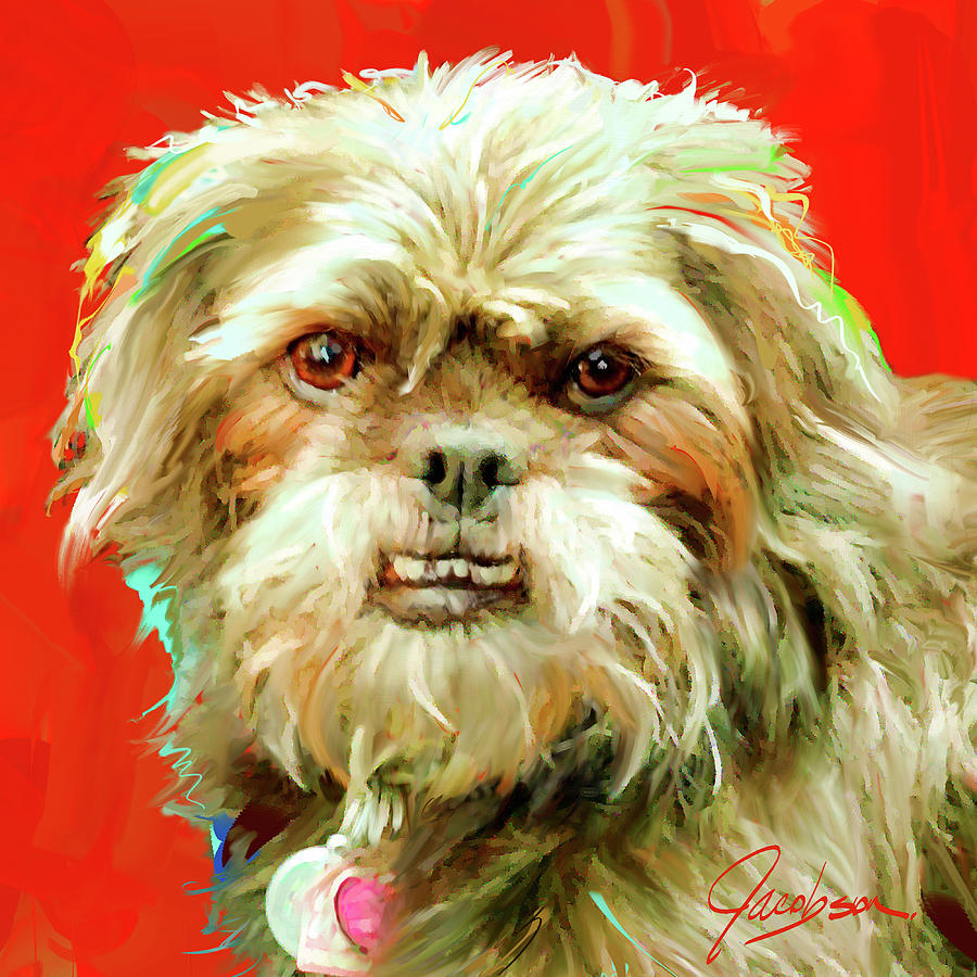 Pug-a-Poo by Jackie Jacobson Pug-a-Poo by Jackie Jacobson