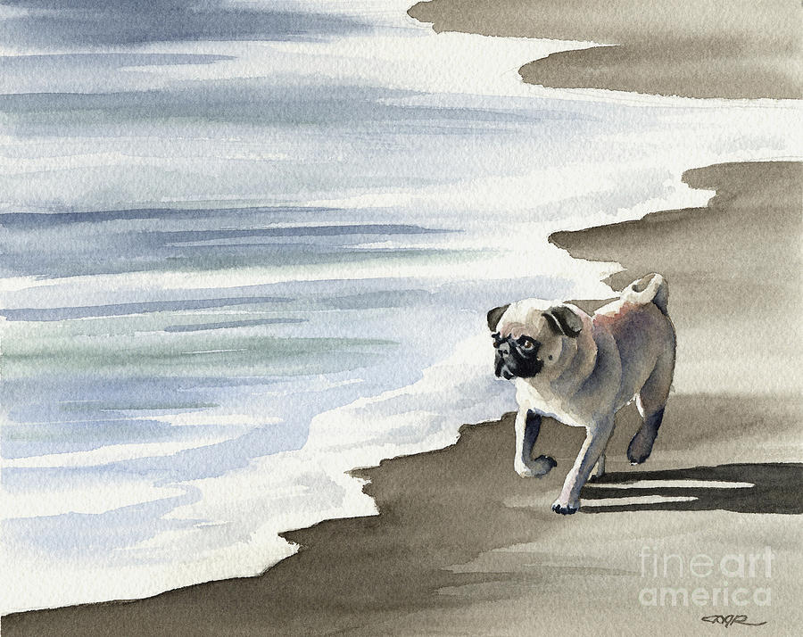 Pug Painting - Pug at the Beach  by David Rogers