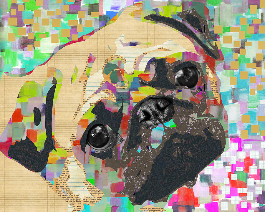 Pug Collage Mixed Media by Claudia Schoen