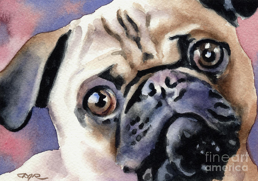Pug Painting - Pug by David Rogers