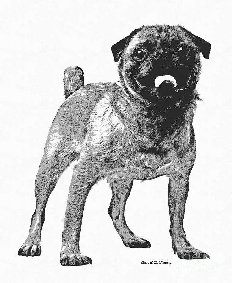 Pug Dog Standing Graphic Digital Art by Edward Fielding