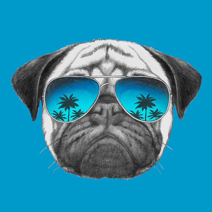 Pug Dog with sunglasses Digital Art by Marco Sousa - Fine Art America