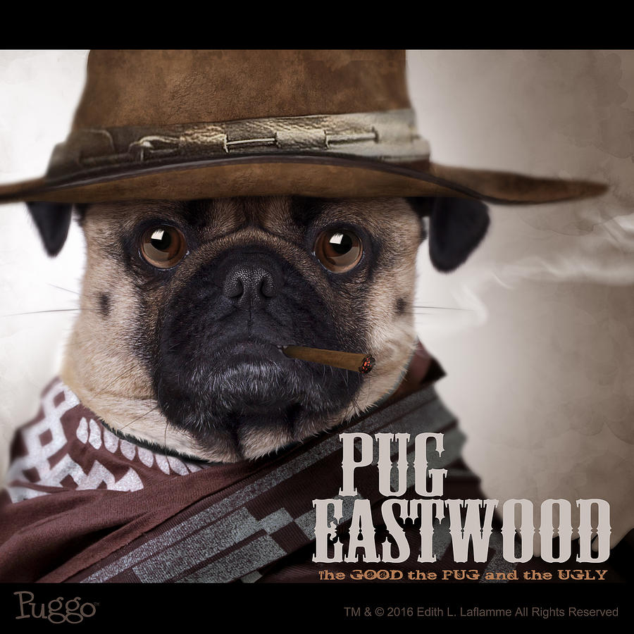 Cowboy Pug | lupon.gov.ph