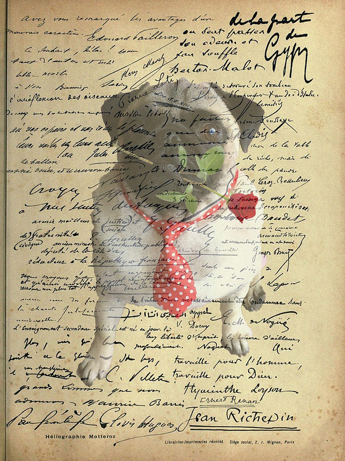Pug in Love Photograph by Jackson Pearson