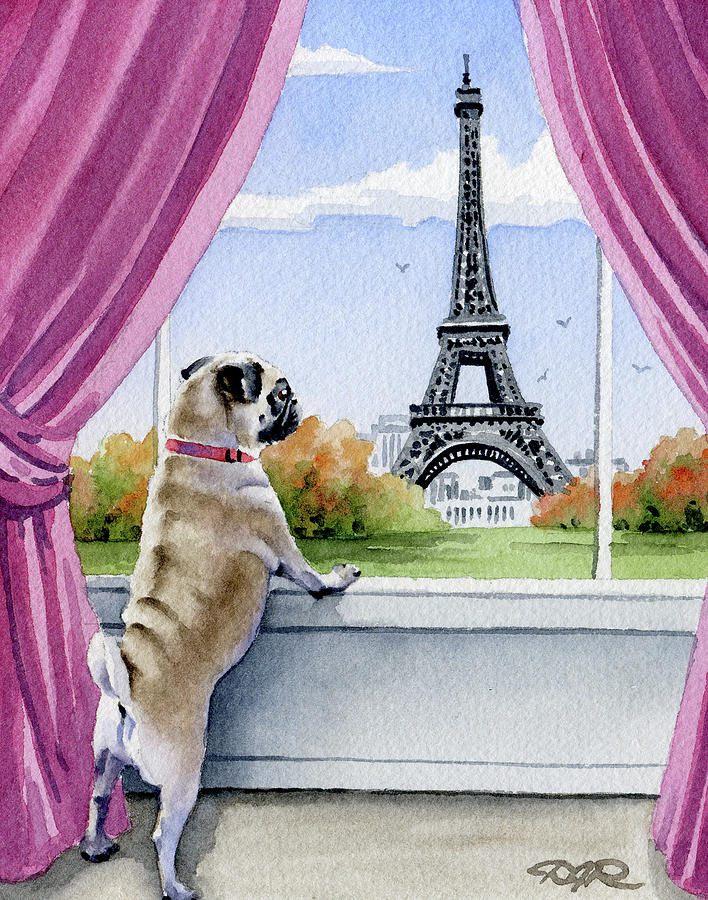 Pug Painting - Pug in Paris by David Rogers