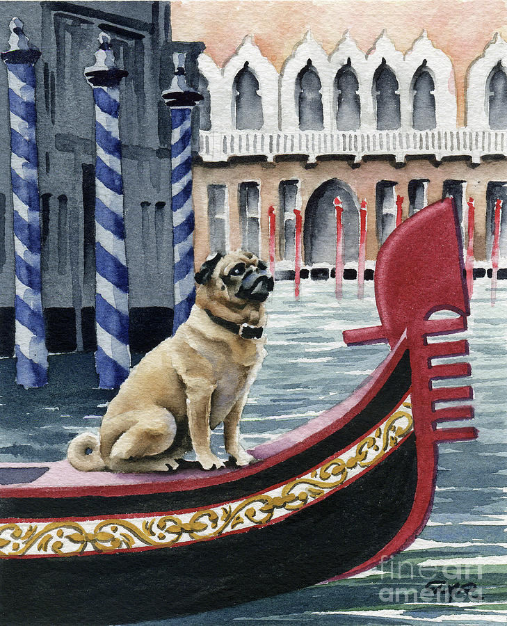 Pug Painting - Pug in Venice by David Rogers