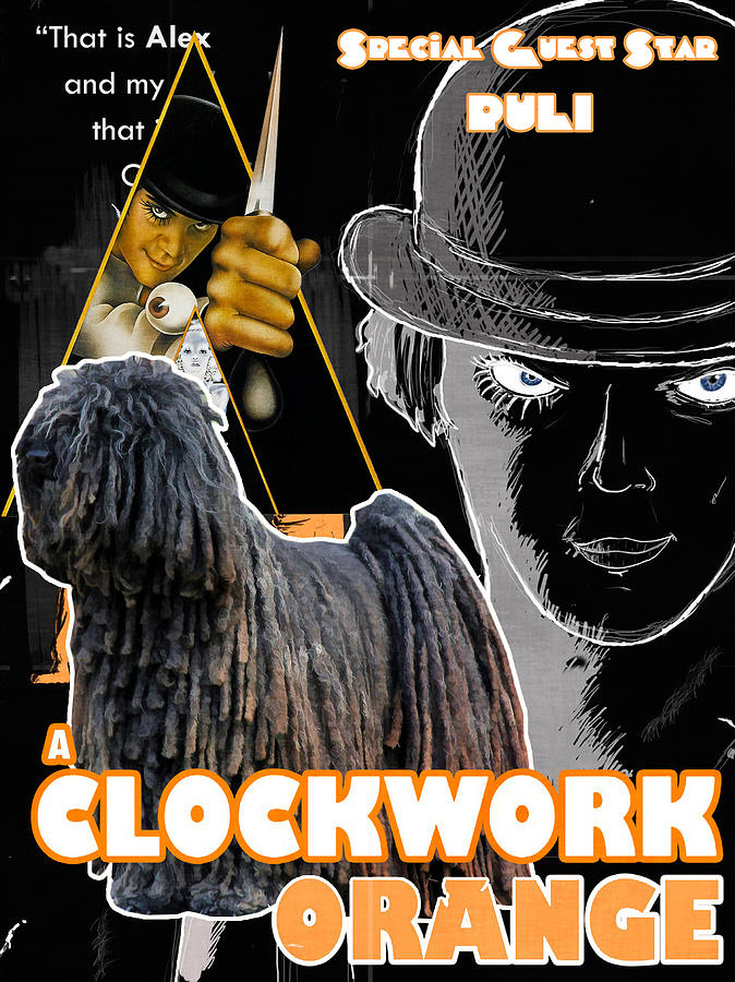 A Clockwork Orange Painting - Puli Art Canvas Print - A Clockwork Orange Movie Poster by Sandra Sij