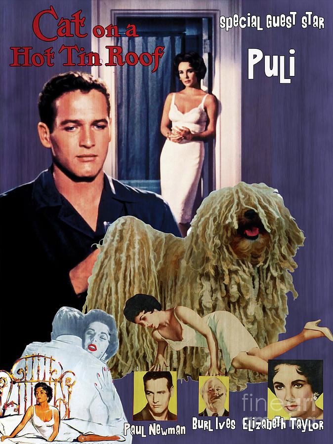 Puli Art Canvas Print - Cat on a Hot Tin Roof Movie Poster Painting by Sandra Sij