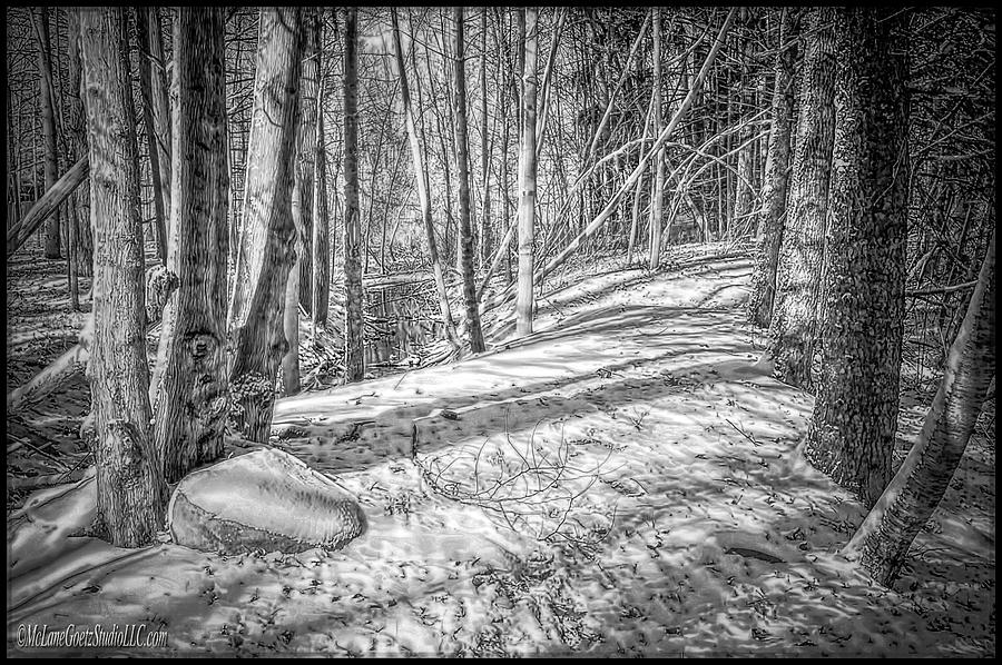 Landscape Photograph - Pulled into the woods Black and White 2 by LeeAnn McLaneGoetz McLaneGoetzStudioLLCcom
