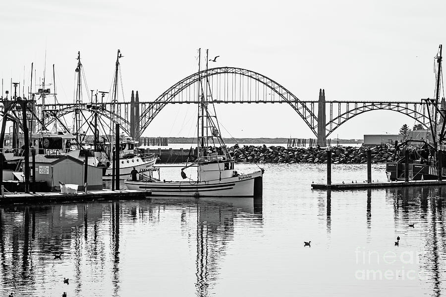 Pulling into Newport Harbor Photograph by Scott Pellegrin