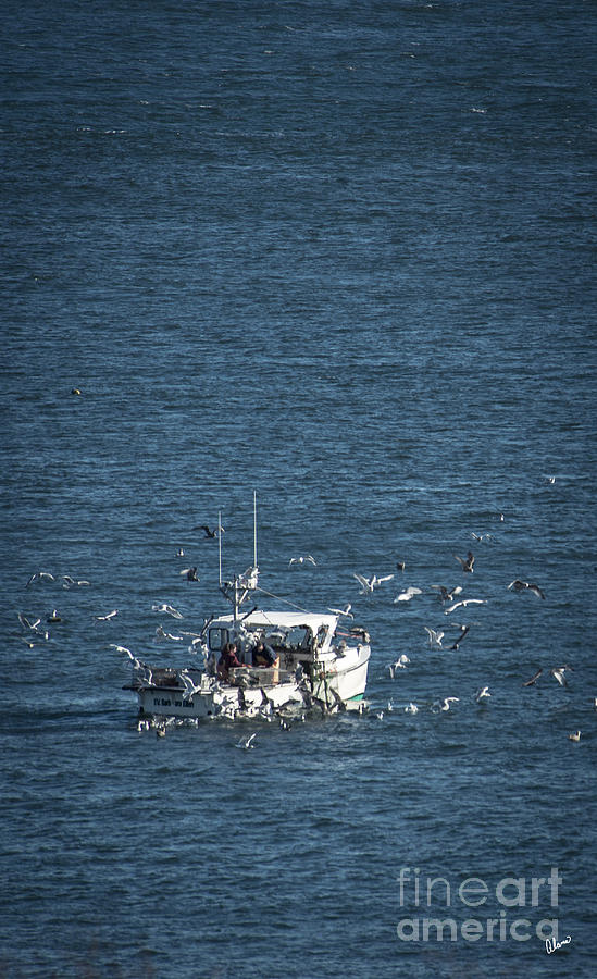 Pulling Traps Photograph by Alana Ranney