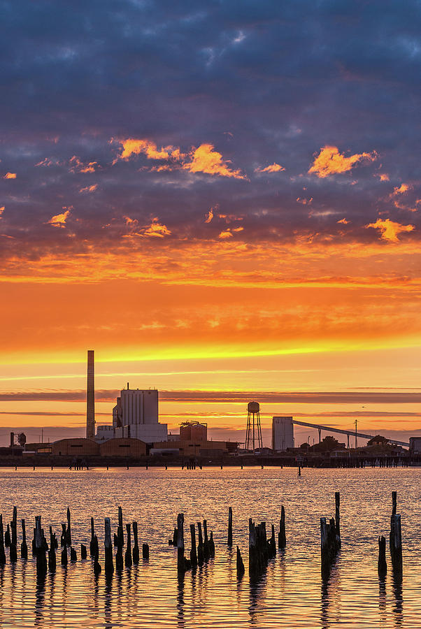 Pulp Mill Sunset Photograph by Greg Nyquist