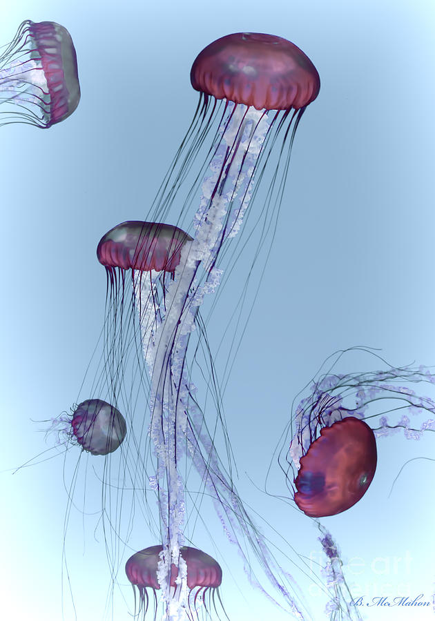 Pulsing Jellyfish Photograph by Barbara McMahon
