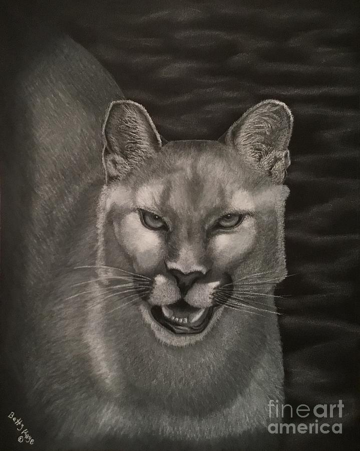Puma Drawing by Betty Kaye