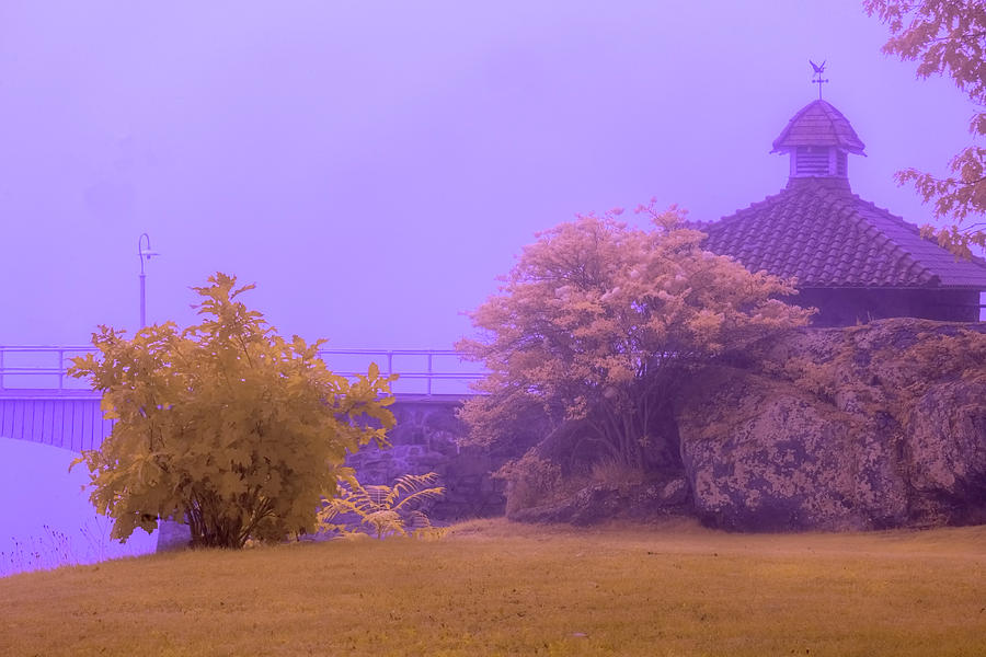 Pump House In Infrared Photograph by Tom Singleton