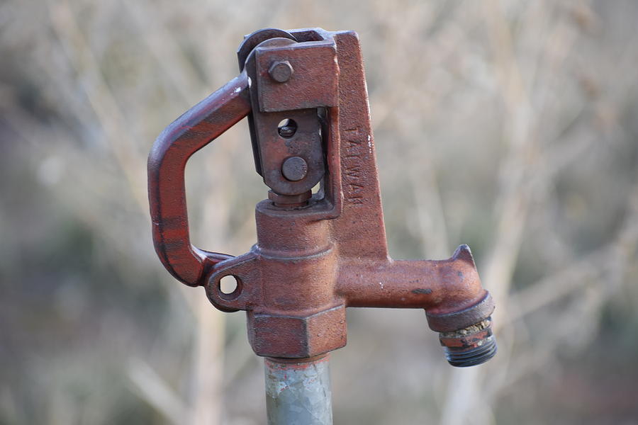 Pumped Up Photograph by Sharon Horning - Fine Art America