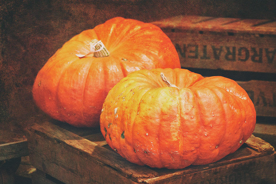 Pumpkin Photograph - Pumpions by Iryna Goodall