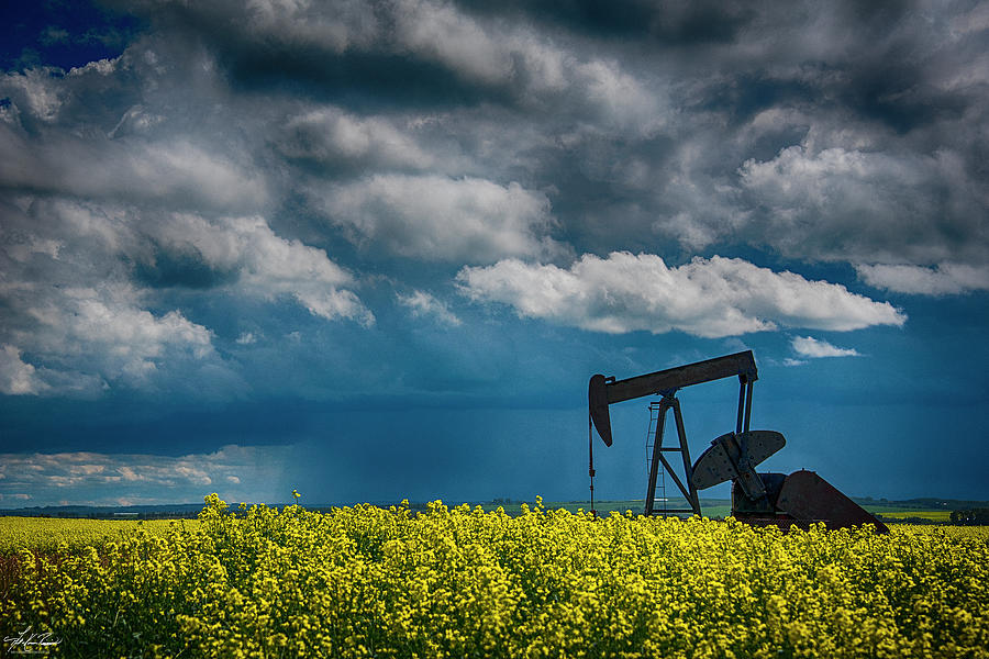 Summer Photograph - Pumpjack in the Canola by Phil And Karen Rispin