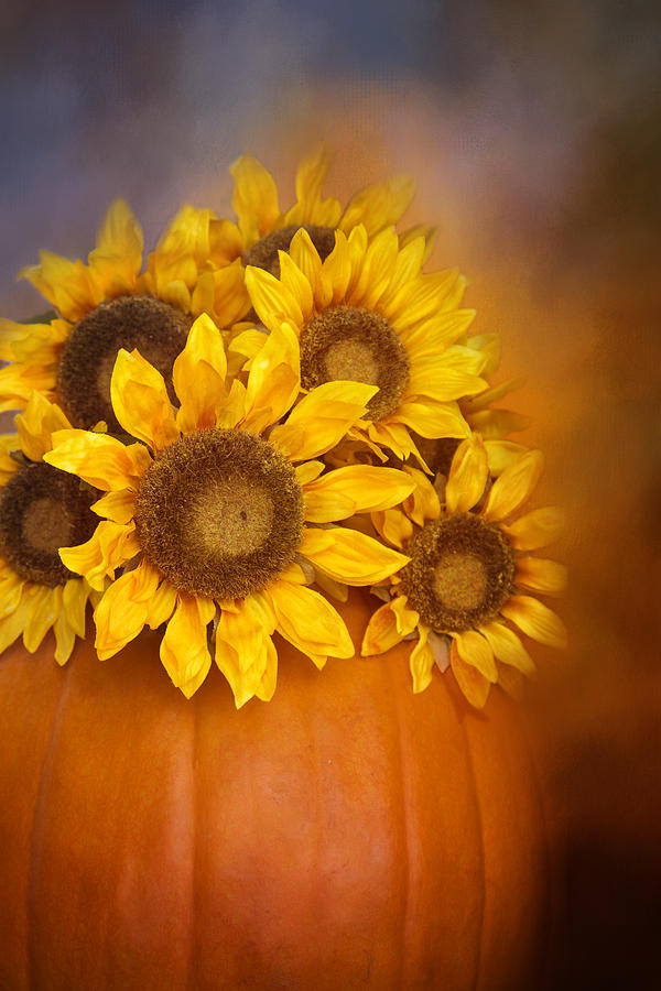 Pumpkin and Sunflowers Photograph by Lynn Bauer