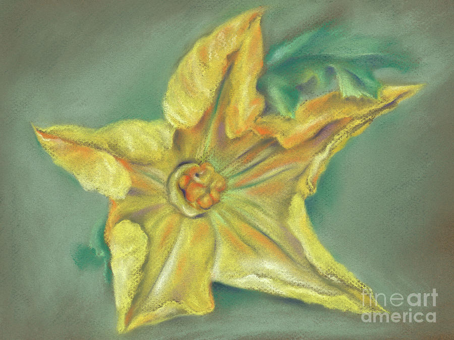 Pumpkin Blossom and Leaf Painting by MM Anderson