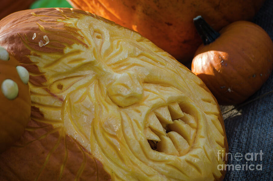 Pumpkin Carving angry face Photograph by Randy J Heath