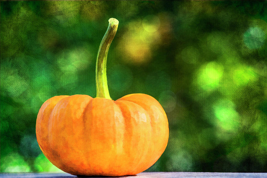 Pumpkin Photograph by Cathy Kovarik