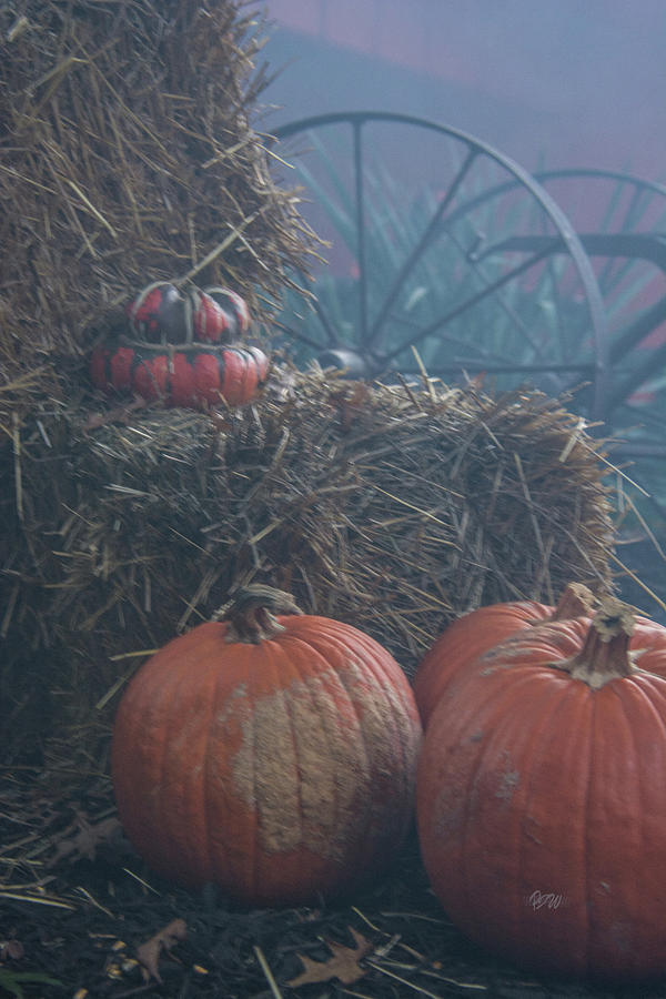 Pumpkin Decor Photograph by Pamela Williams