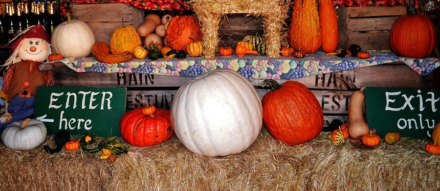 Pumpkin Display Photograph by Eileen Brymer