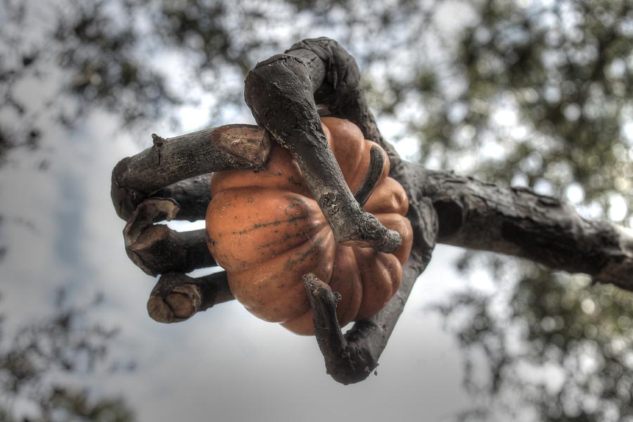Pumpkin hand wizard of oz texas state fair dallas Photograph by Jane Linders