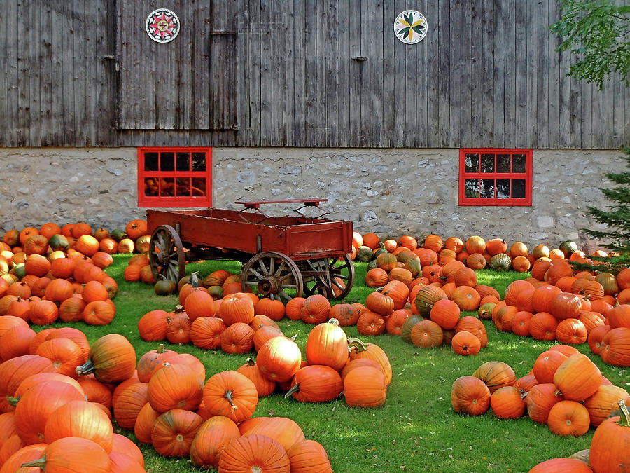 Pumpkin Harvest Photograph by Debbie Oppermann