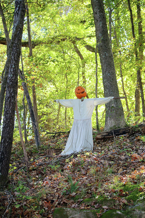 Pumpkin Head in the Forest Photograph by Art Block Collections
