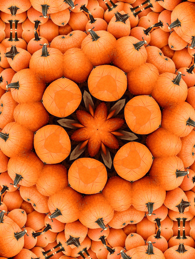 Pumpkin Kaleidoscope Photograph by Morgan Carter