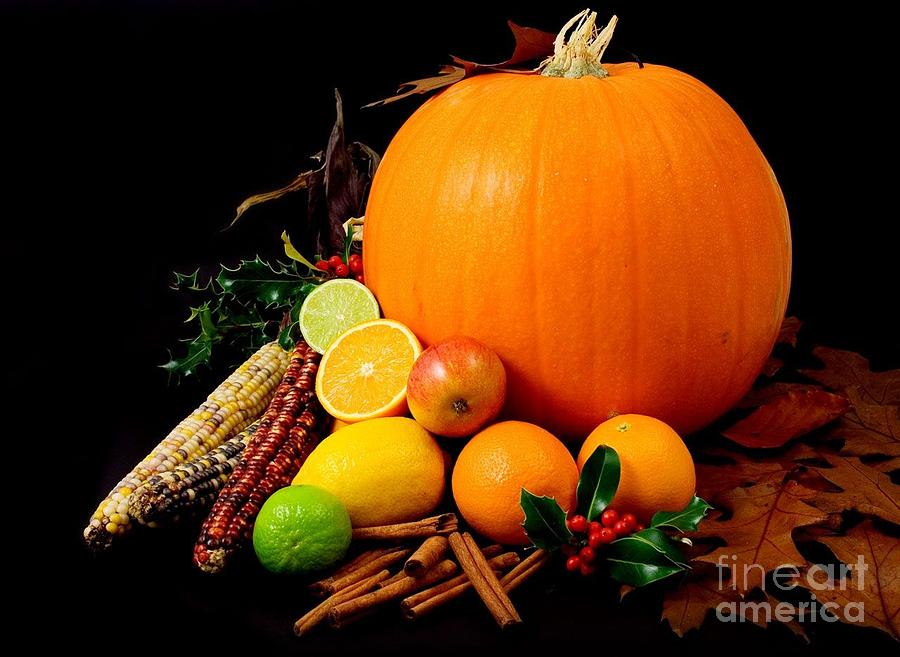 Pumpkin Limes Lemons Corns Apples Holly Leafs Photograph by Vintage Collectables