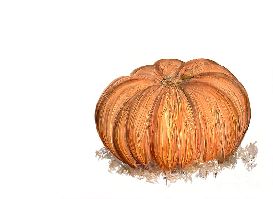Pumpkin Digital Art - Pumpkin by Lois Bryan