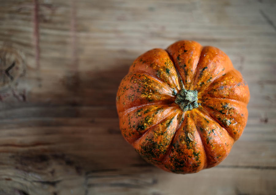 Pumpkin Photograph - Pumpkin by Nailia Schwarz
