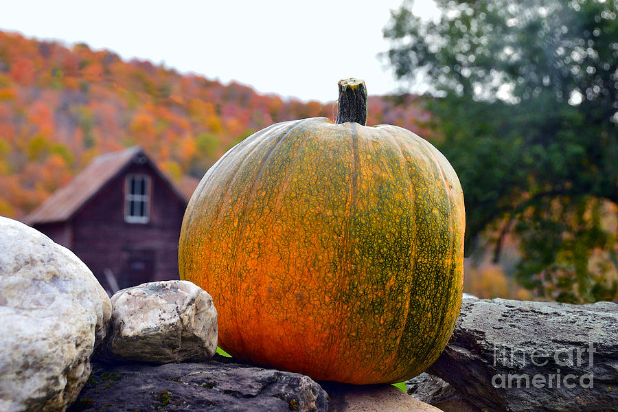 Pumpkin On Rock Wall Photograph