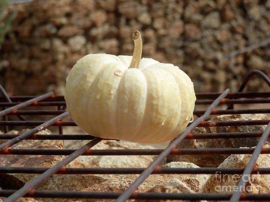 Pumpkin on the grill Photograph by Barbara Leigh Art