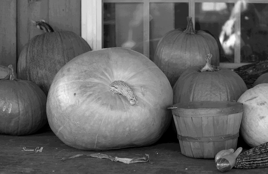 Pumpkin Party BW Photograph by Suzanne Gaff