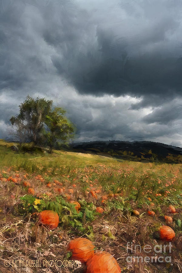 Pumpkin Patch Photograph by Kathy Russell